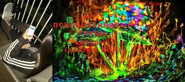 прущие крисы Михайлов