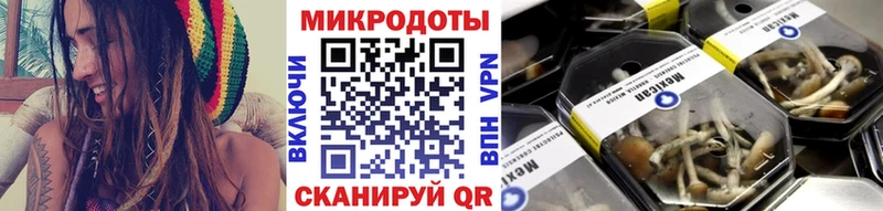 Псилоцибиновые грибы мицелий  блэк спрут ONION  Электроугли 